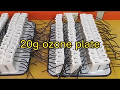 20g 8pcs Ozon plaka boşluğu boşaltma seramik ozon jeneratörü monte edilmiş